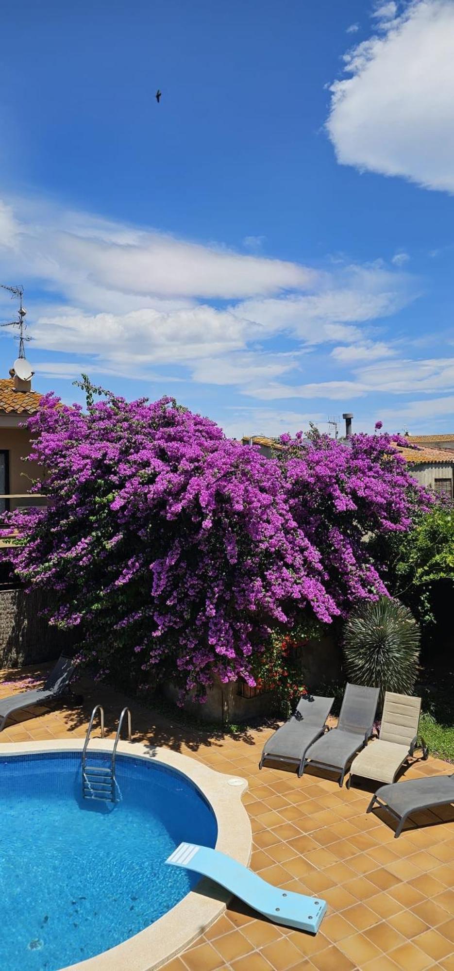 Casa Deluxe Alt Emporda Costa Brava - Private Swimming Pool Villa Vilabertrán Екстериор снимка